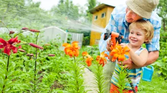 A Grandfather and Grandson Water the Garden Together on a Hot Summer Day
