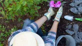 gardening-with-pink-flowers