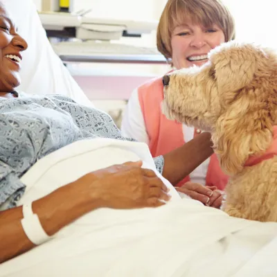 Service Dog
