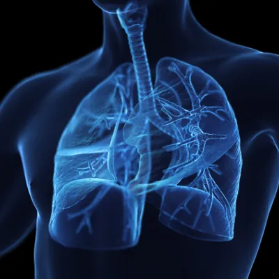 Lung - AdventHealthMD