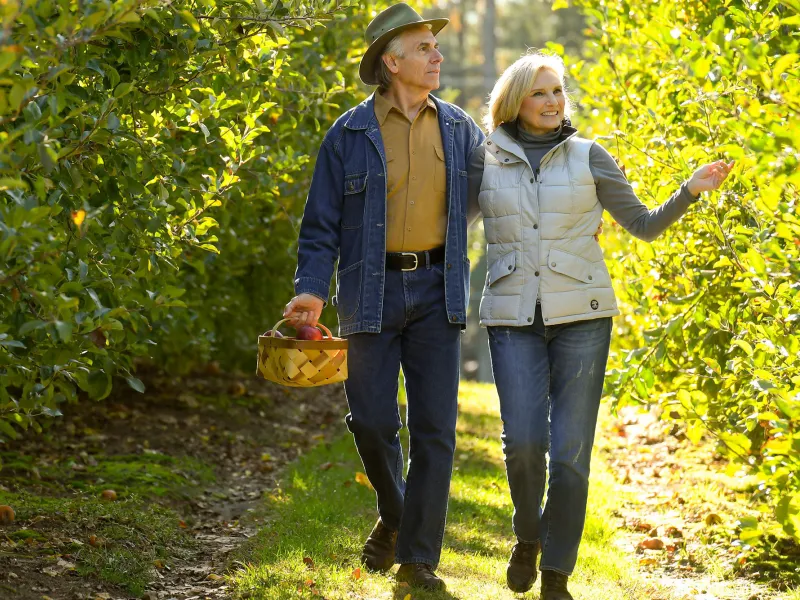 Elderly couple walking through a vineyard holding a basket.