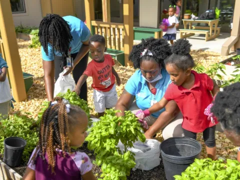 The West Lakes Early Learning Center has made significant strides in ensuring that all children, regardless of color or socioeconomic status, can learn, thrive and grow.