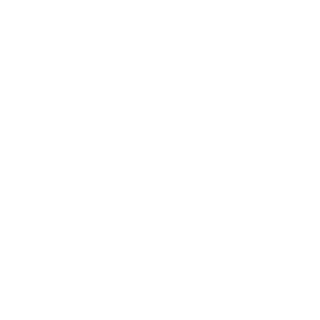 AdventHealth's "Living in Vitality" icon
