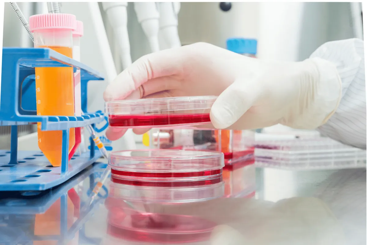 Lab with petri dish