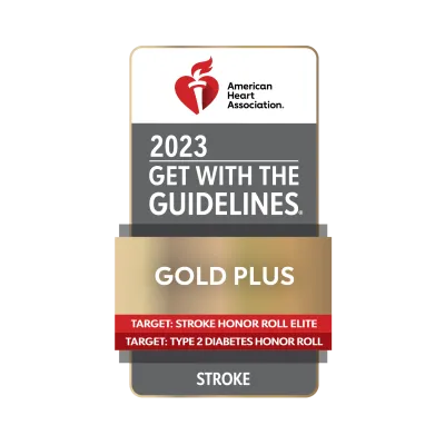 2023 Get with the Guidelines Stroke Gold Plus Honor Roll